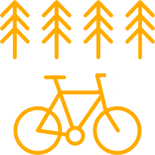 Bicycle tours through the woods