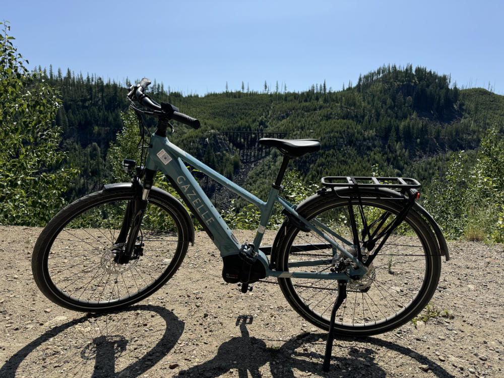 Closeup Gazelle e-bike